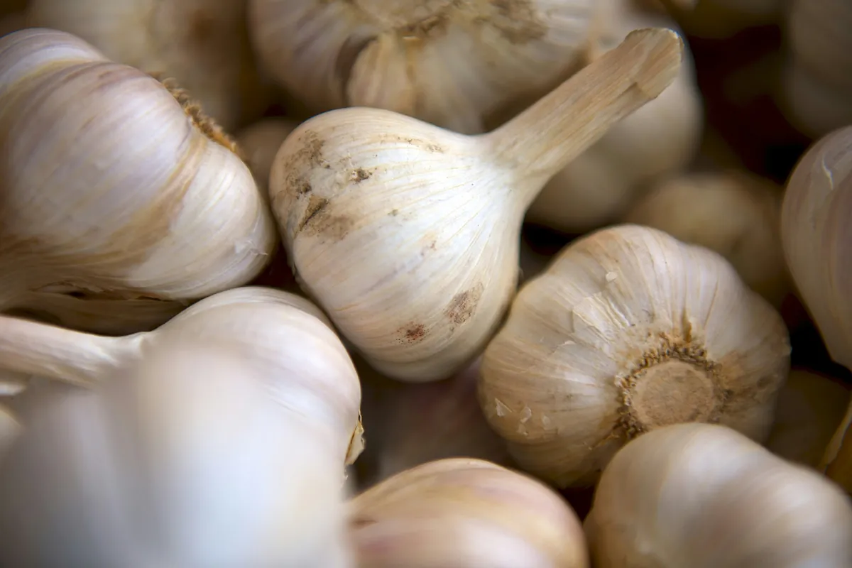 Ajo, el superalimento con beneficios para el corazón y el cerebro que no puede faltar en tu dieta