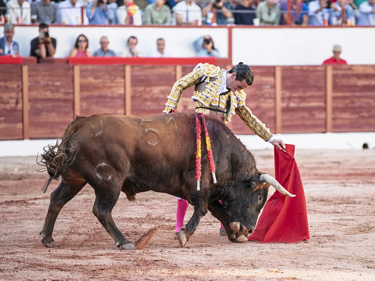 Juan Ortega, a hombros lo borda en Colmenar Viejo