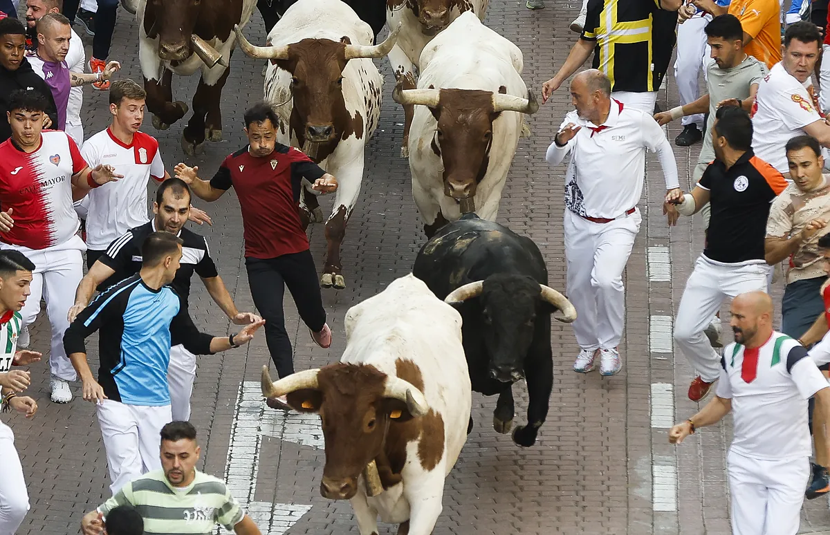El último encierro de San Sebastián de los Reyes acaba con nueve heridos, uno corneado por un cabestro