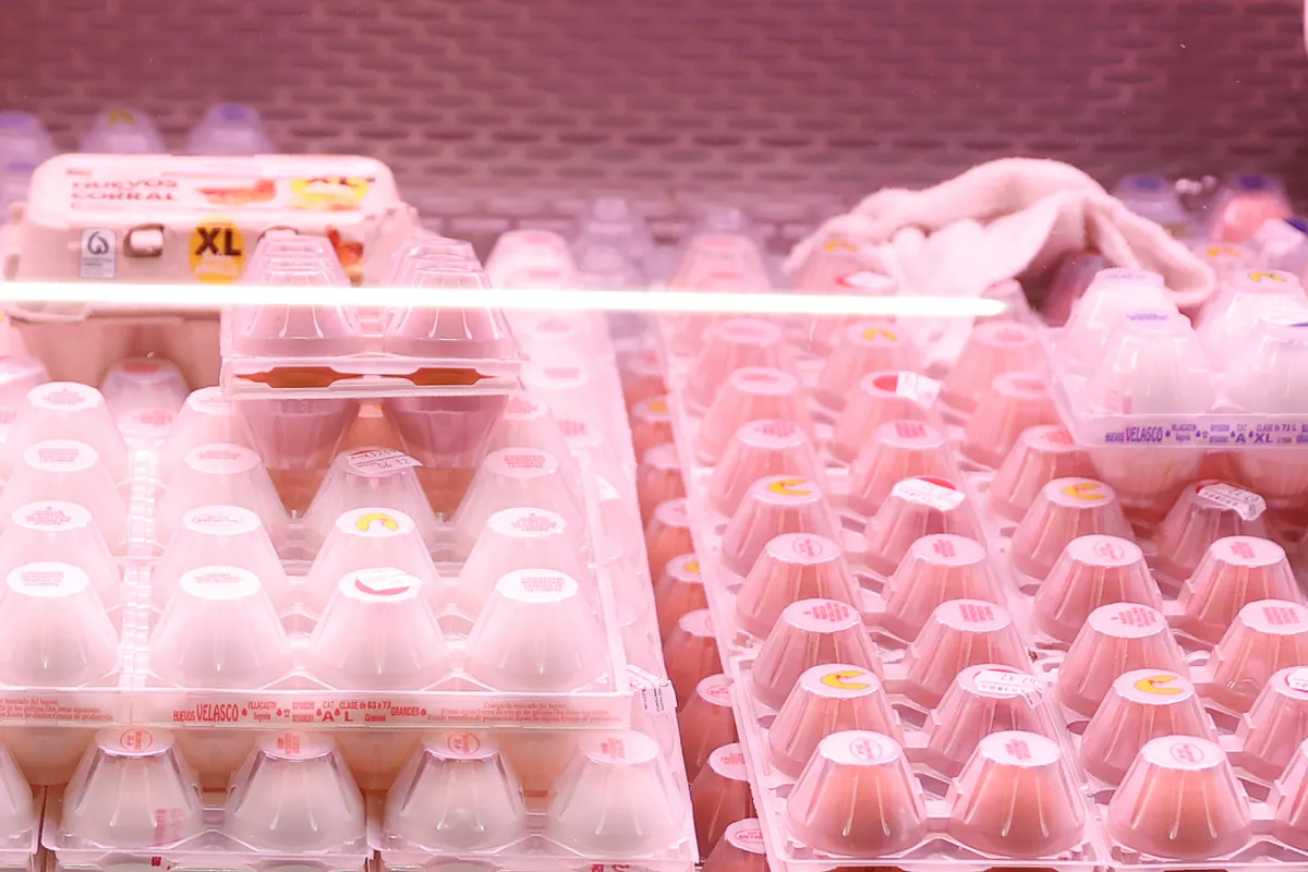 La gripe aviar obliga a Mercadona a reducir la oferta de huevos frescos en sus tiendas