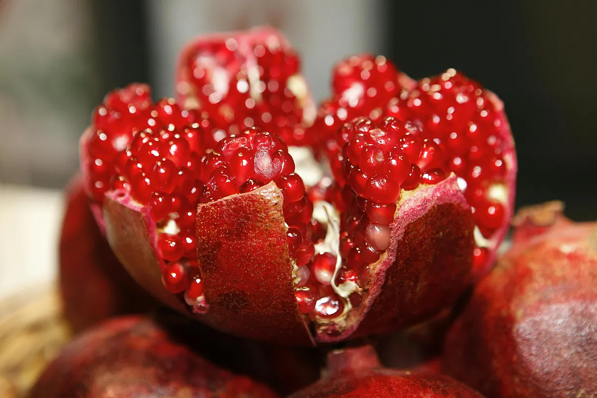 Granada: propiedades, beneficios y calorías de esta fruta de temporada