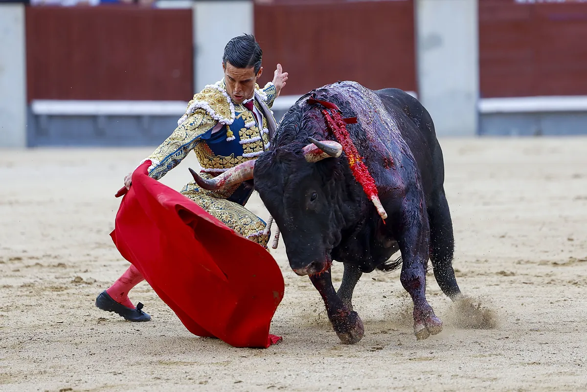 El gato de la suerte en el debut de David Galván en Perú