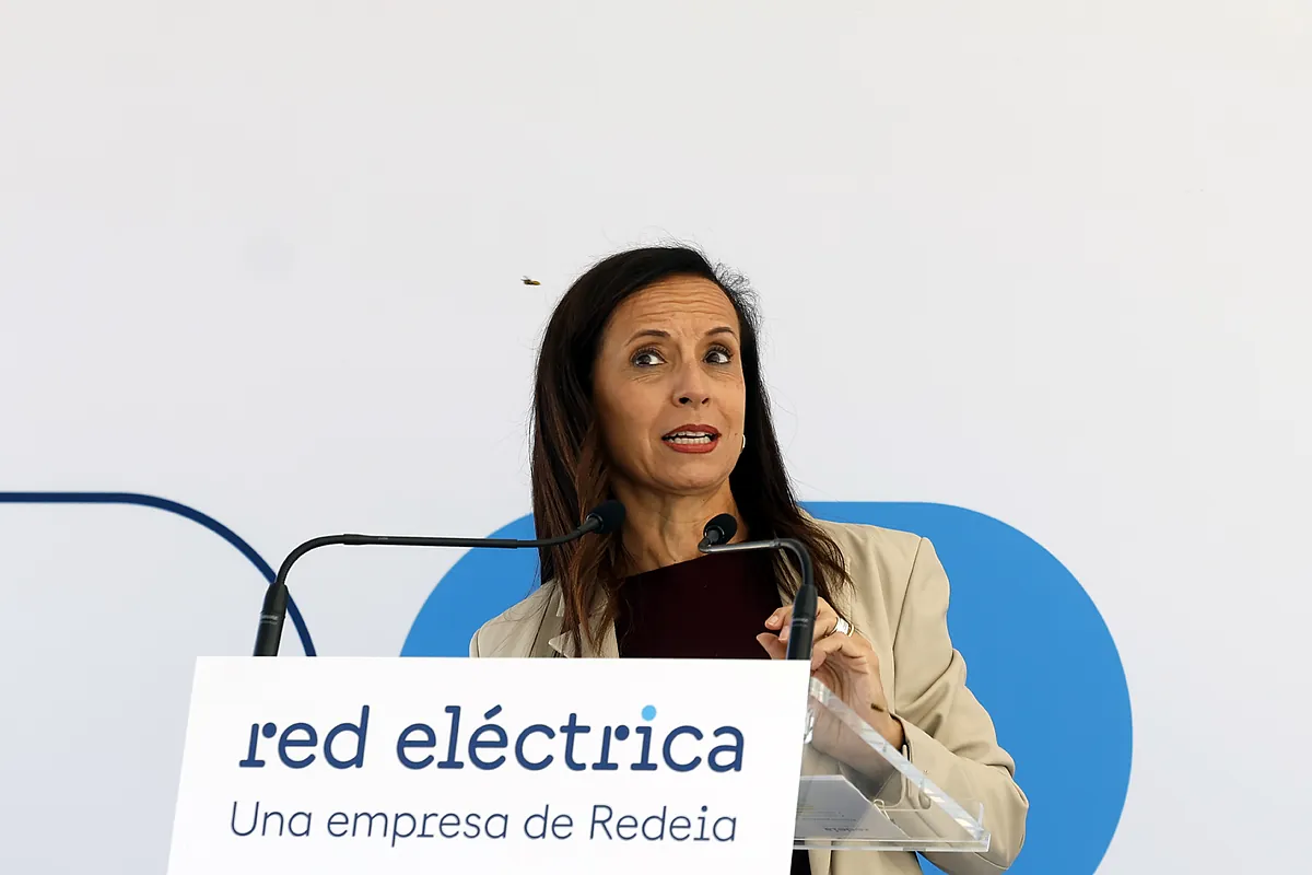 El sistema eléctrico vuelve a sufrir "anomalías de tensión" en septiembre pese al 'escudo antiapagones' de Red Eléctrica
