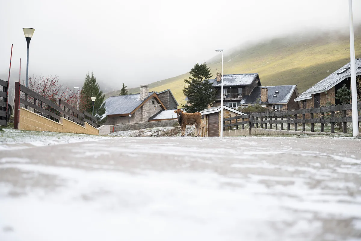 Una masa de aire ártico desploma las temperaturas y trae lluvias, heladas y nevadas a varios puntos de España