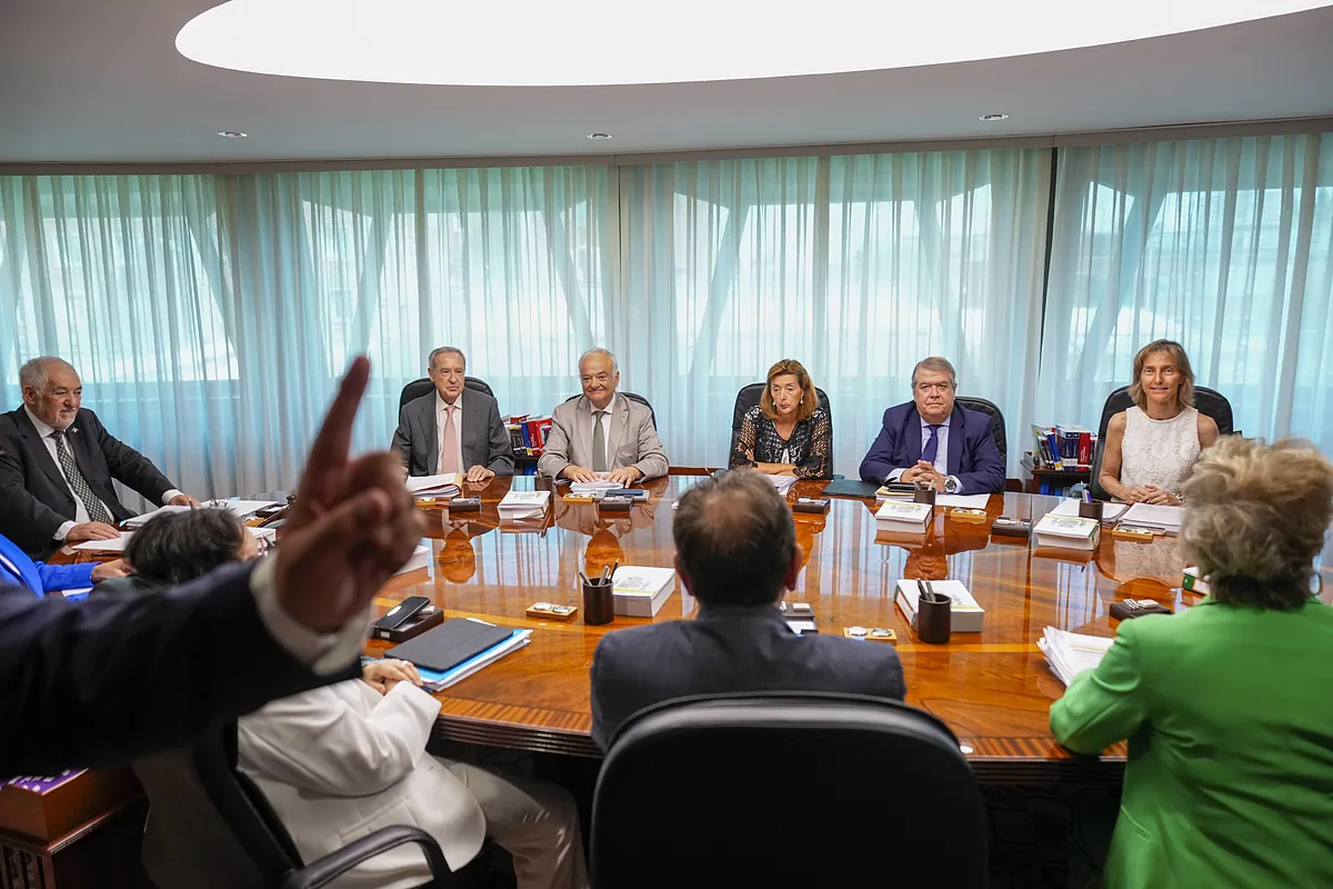 El Constitucional avala por seis votos frente a cuatro la amnist?a...