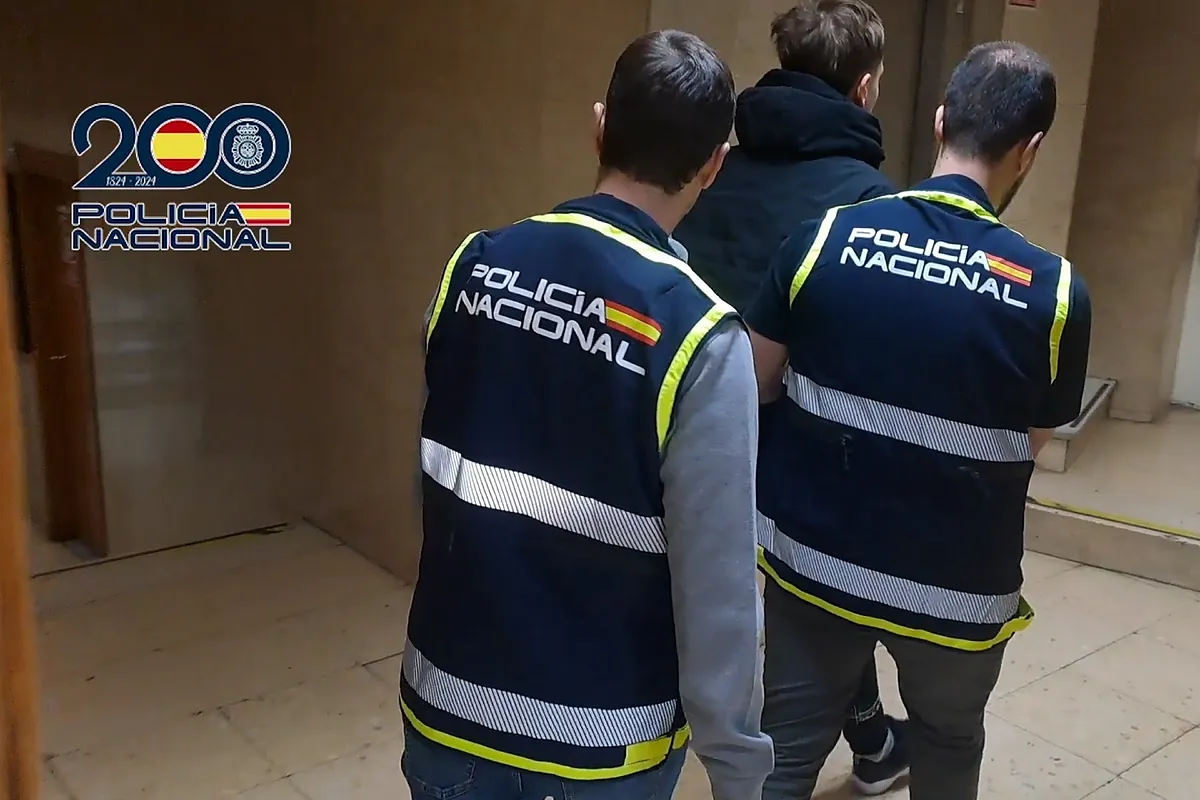 ciberdelincuentes