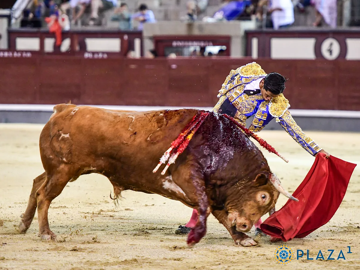 The surprise of the night in Las Sales came from Peru: it is called Pedro Luis and wants to be a bullfighter