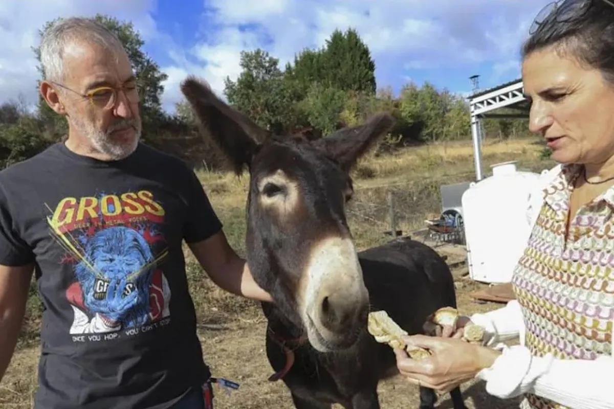 Un burro alertó a los vecinos de Molinaseca (León) de que el fuego se acercaba a sus casas
