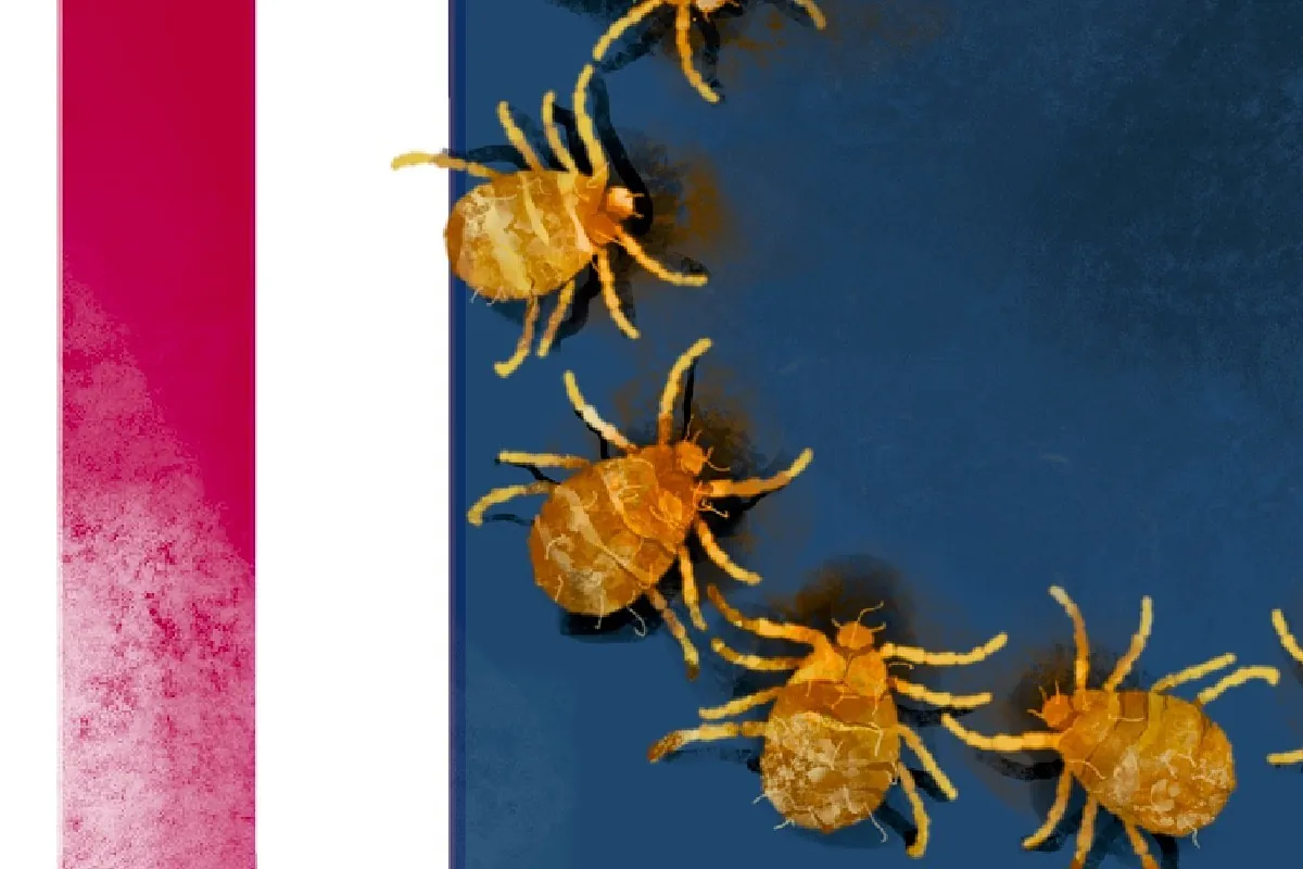 'Signalgate': Emojiler için aşk, Parries'den nefret ediyorum