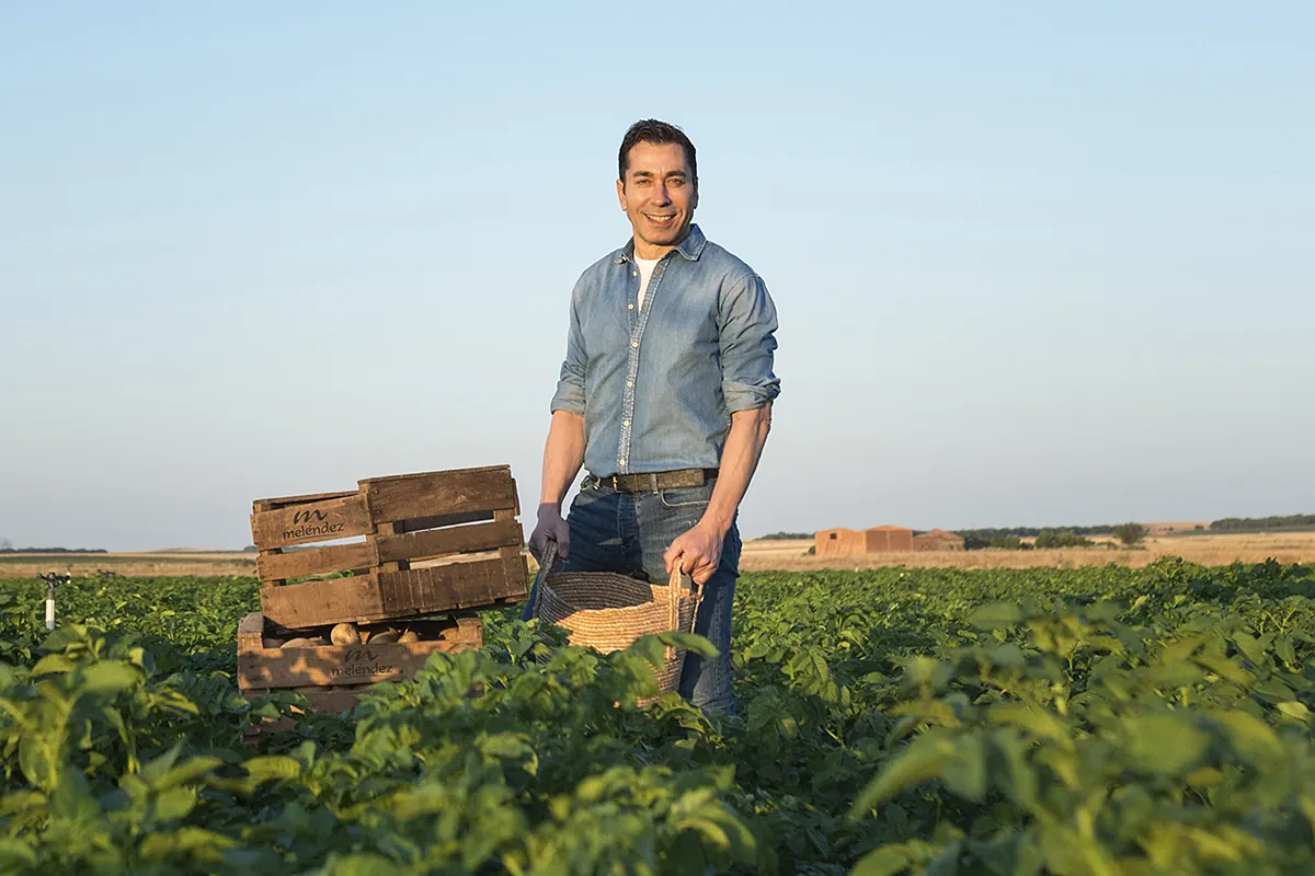 Cuidar la agricultura para hacer de la patata el cultivo más rentable