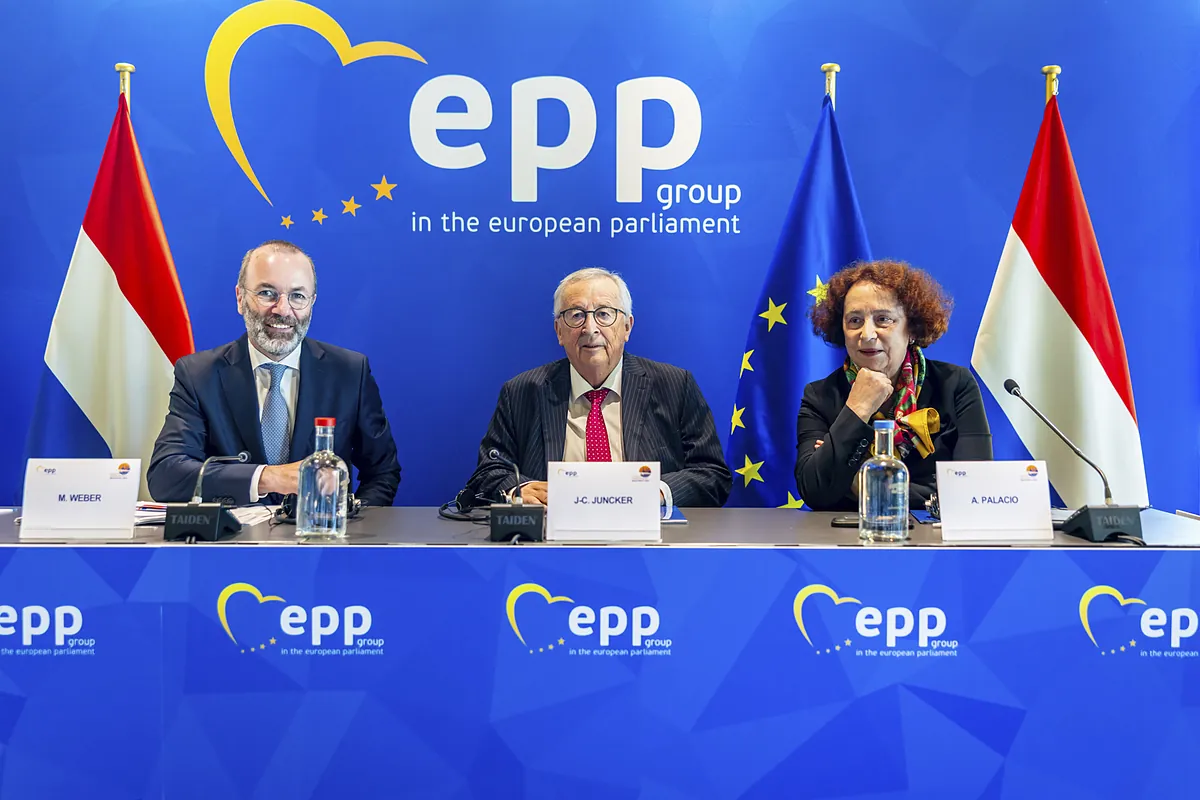 Cesaret ve vizyon olmadan Avrupa olmayacak