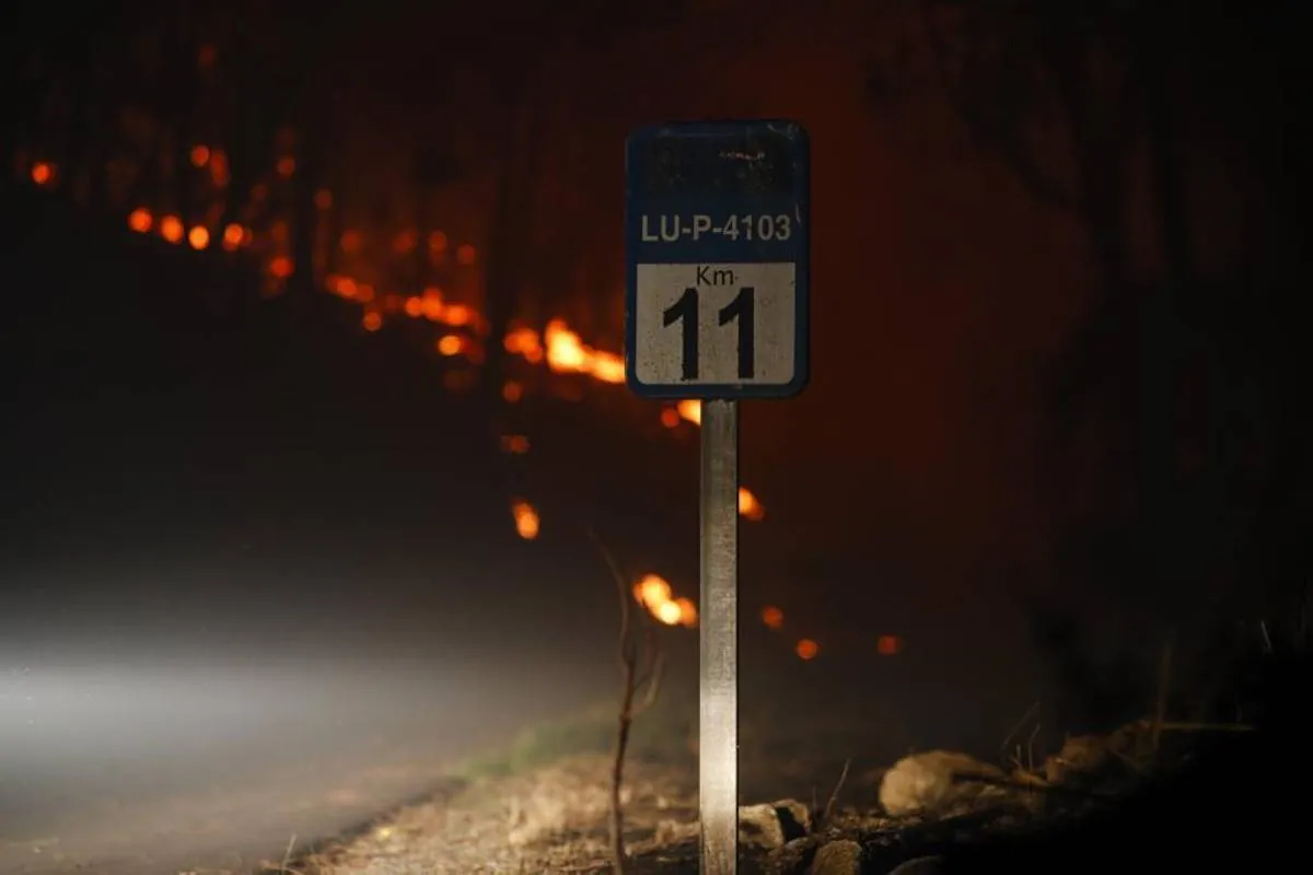 Pantn Ateşinde Kalsine 100 Hektarlık MS (Lugo)