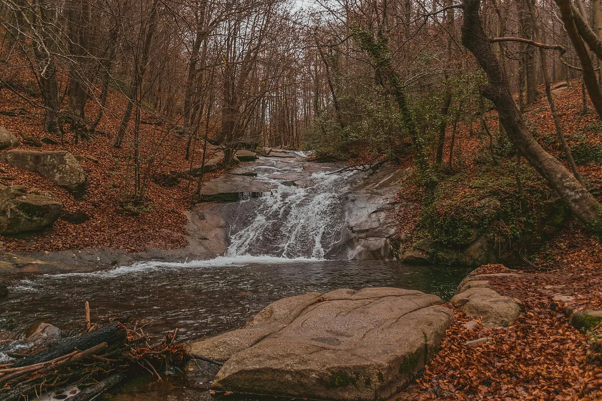 6 bosques de Cataluña que merece la pena visitar en otoño: de la magia de Merlí a los hayedos dels Ports