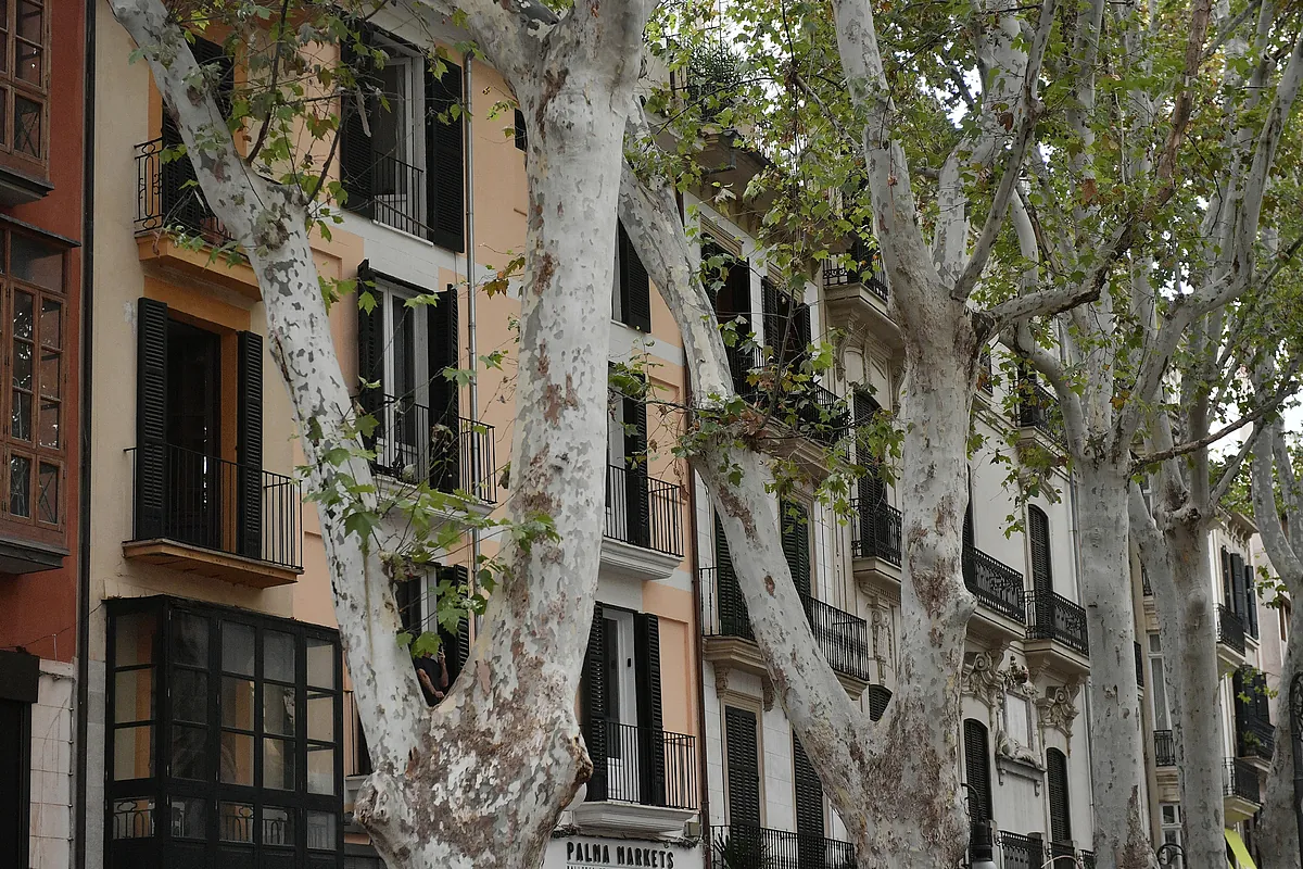 Alquilar una vivienda cuesta hoy 142 euros más al mes que hace un año: en Madrid y Barcelona, vivir ya supera los 1.700 euros al mes