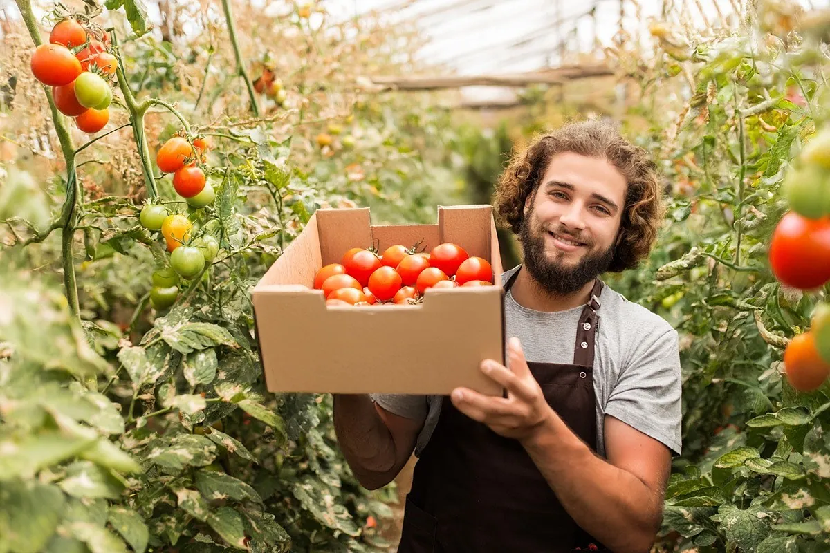 Los envases comerciales entran en la era de la circularidad: las empresas ya pagan por su reciclaje