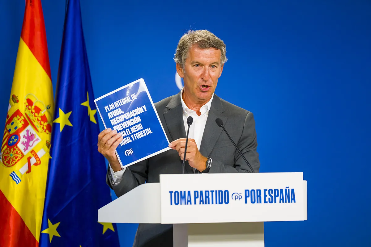 El PP propone medidas de alivio fiscal para hacer los bosques rentables