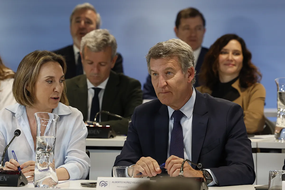 Feijóo garantiza que el PP "revisará ideas" en su Congreso en su asalto a Moncloa: "Quien quiere gobernar de verdad no se esconde, da la cara"