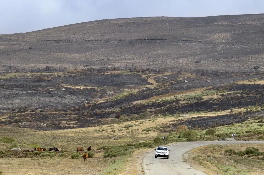 Suspenso masivo de los españoles a los políticos en su actuación contra los incendios