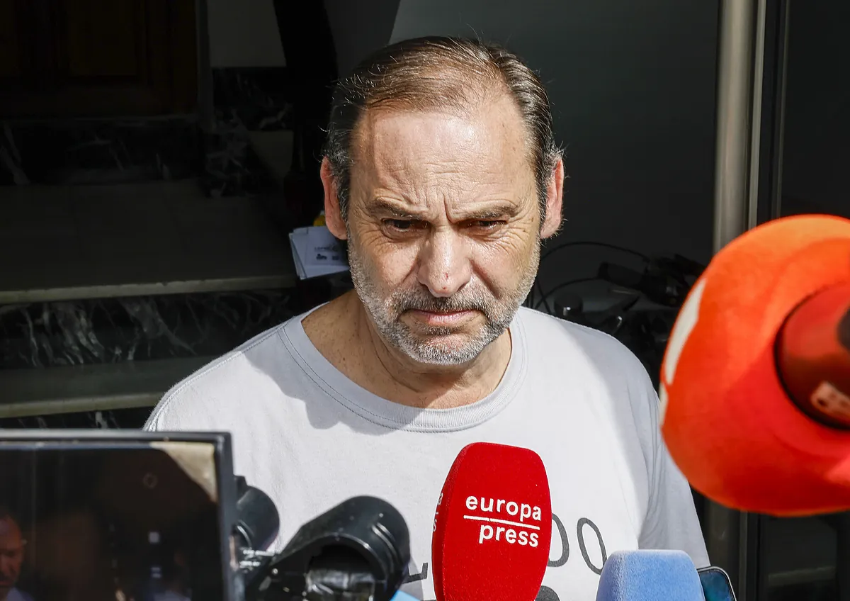 Ábalos en camiseta y la revolución de los tontos del...