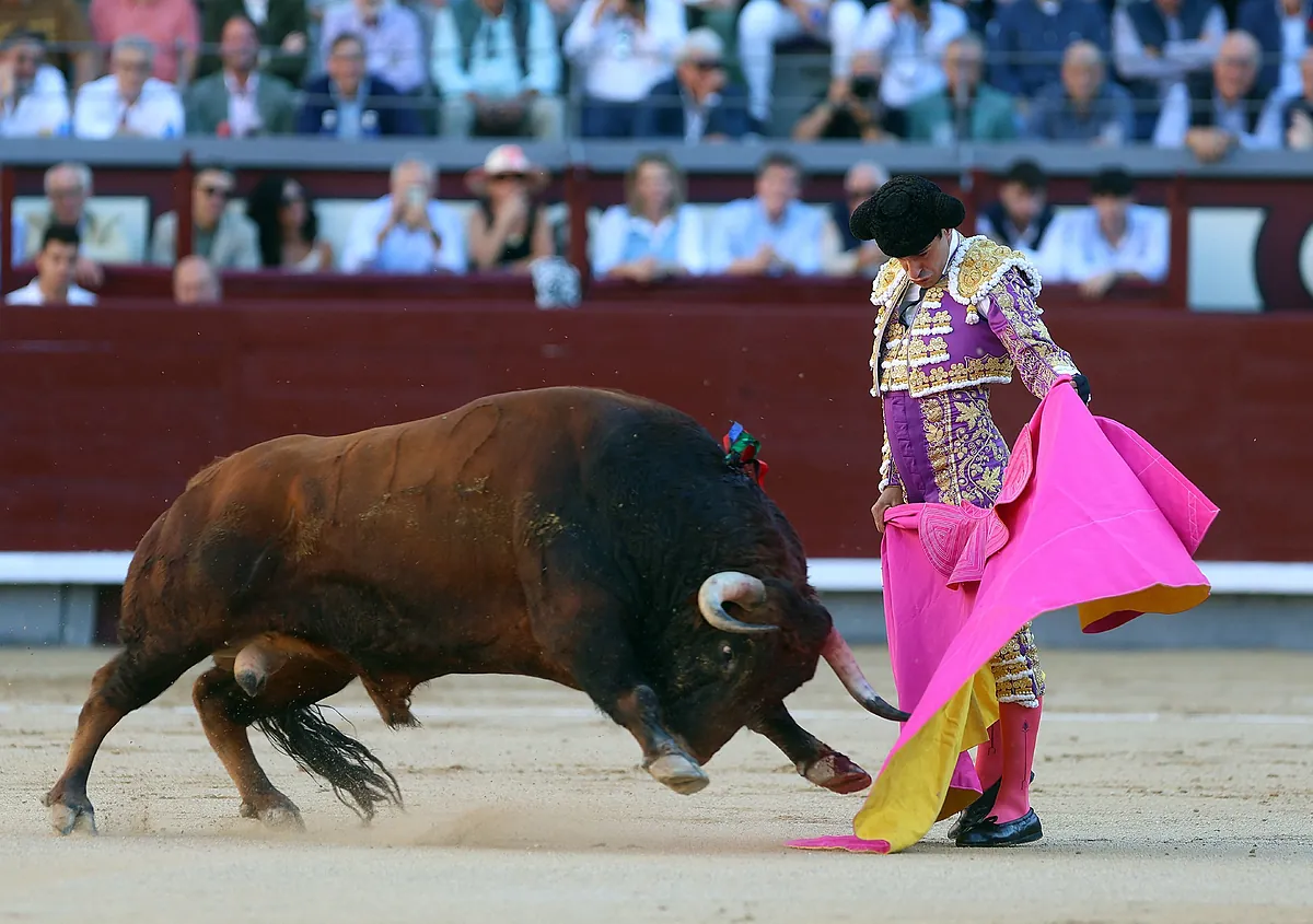 Toros en Jaén hoy, domingo 12 de octubre, por la Feria de San Lucas: quién torea y dónde ver por TV