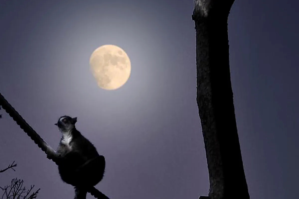 Calendario lunar de septiembre 2025: las fases de la luna este mes