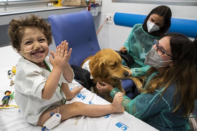 se permiten perros esa en los hospitales
