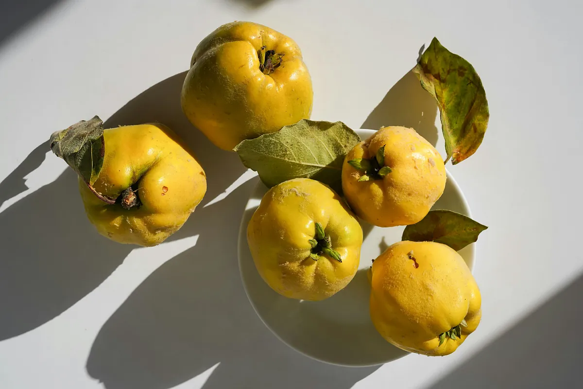 Membrillo: propiedades, beneficios, calorías y cómo preparar este fruto de temporada
