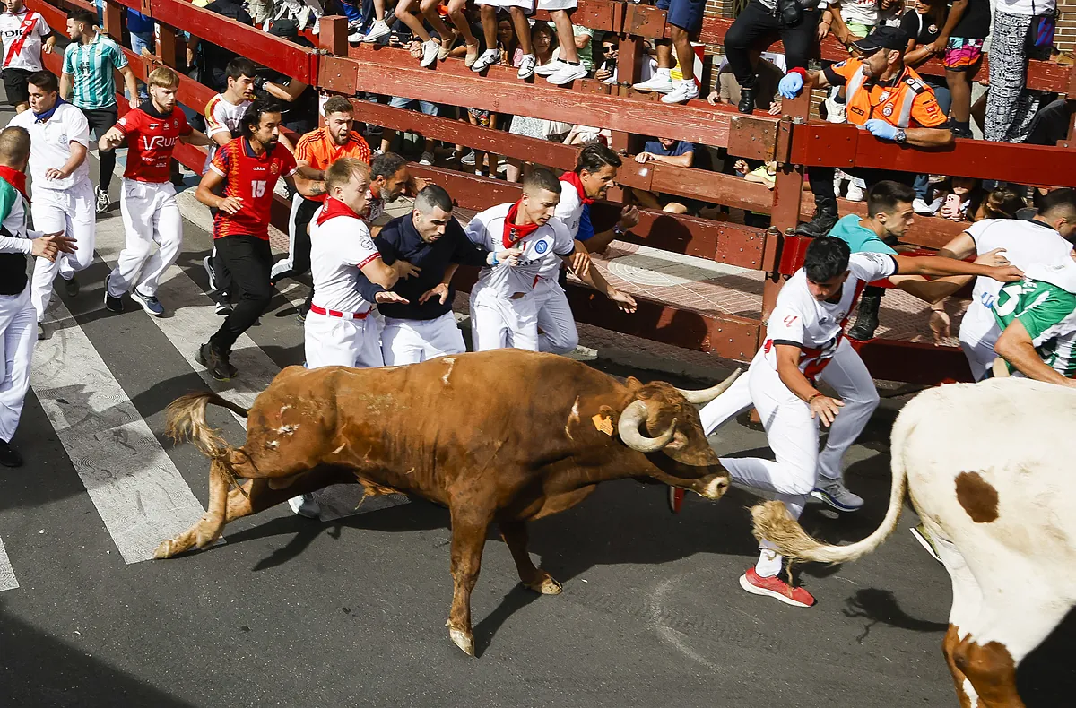 Once heridos, uno por un varetazo de asta de toro, en el séptimo encierro de San Sebastián de los Reyes
