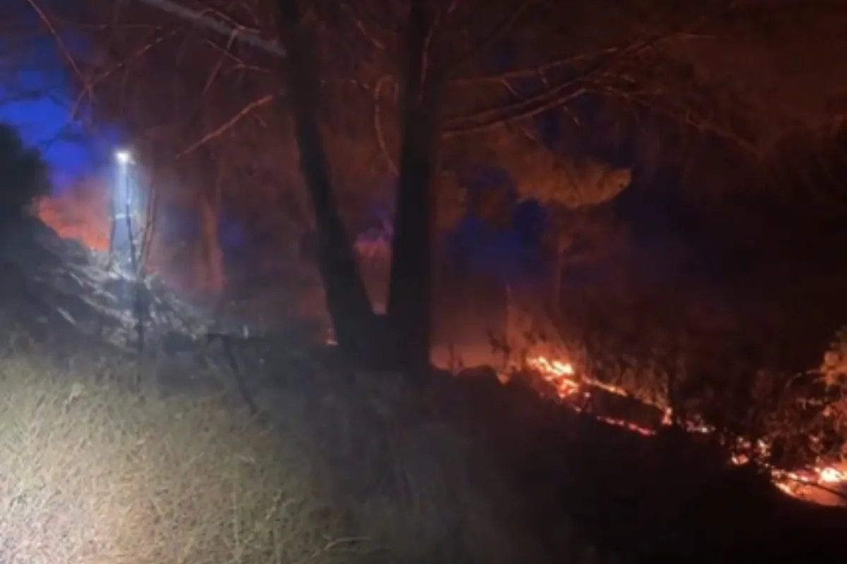 Extinguido un incendio forestal en Collado Mediano que afectó a tres viviendas