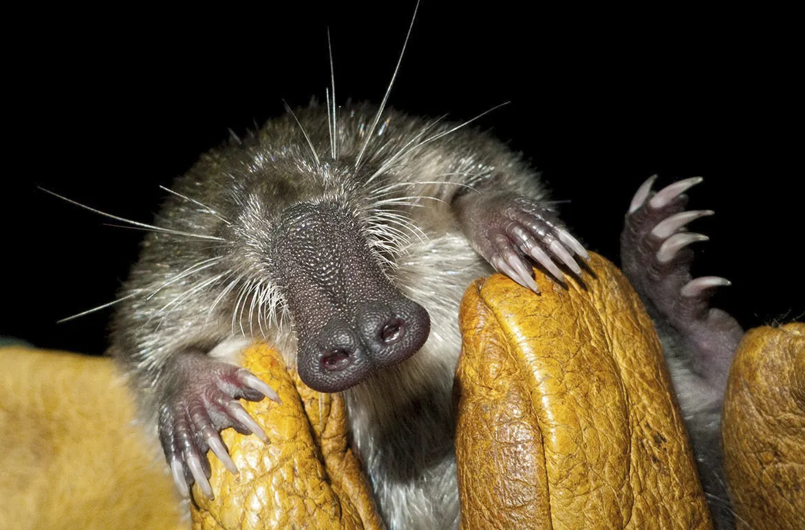 Riley rice onlyfans porn extremely affable and lively, and