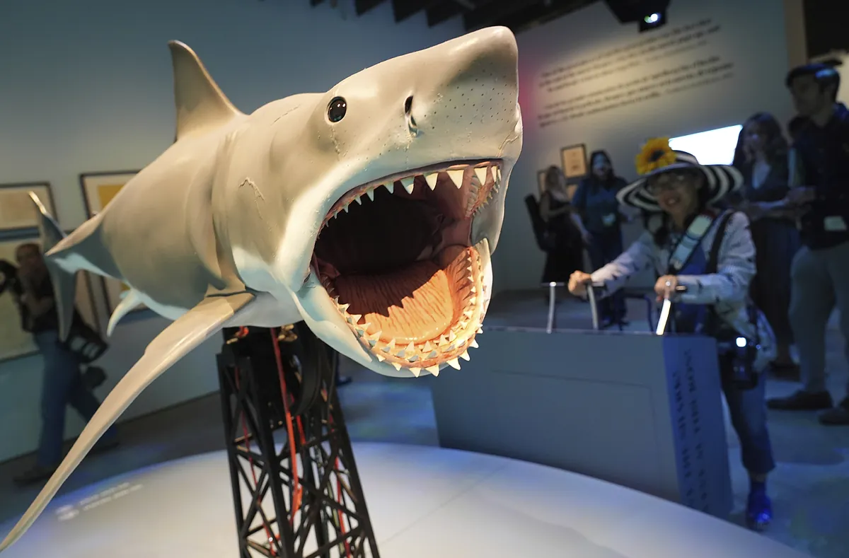 Los 50 años de Tiburón, la película que cambió la vida de Spielberg: "Pensé que mi carrera estaba acabada después de aquello"