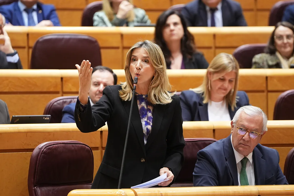 El Senado tramitará la exigencia de que los condenados por terrorismo acrediten arrepentimiento para ir en listas